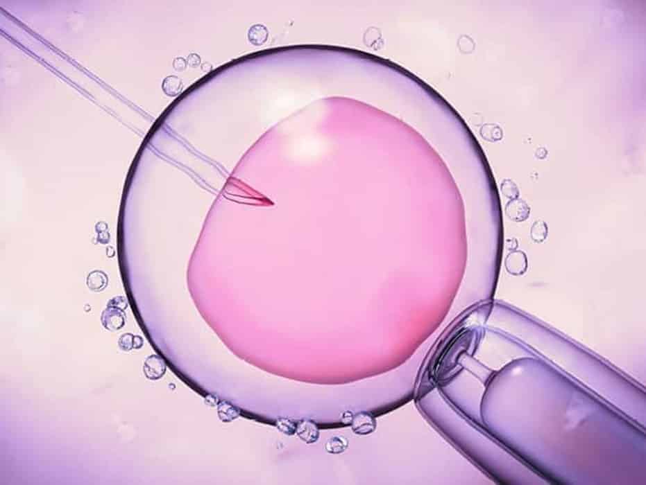 Embryoglue, ¡mejora la implantación!